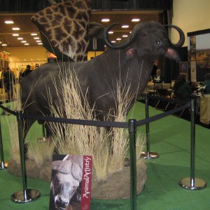 Safari Club International Convention - SCI