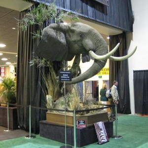 Safari Club International Convention - SCI