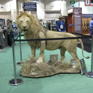 Safari Club International Convention - SCI