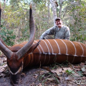 Hunting Bongo in C.A.R.