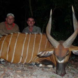 Bongo Hunt in C.A.R.