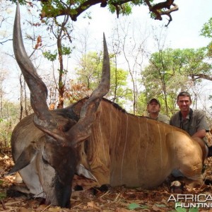 Hunting Eland Derby in C.A.R.