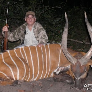 Bongo Hunt in C.A.R.