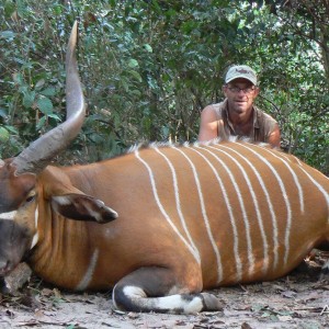 Bongo Hunt in C.A.R.