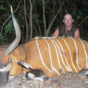 Bongo Hunting in C.A.R.