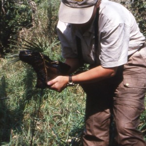 Hunting in Mozambique