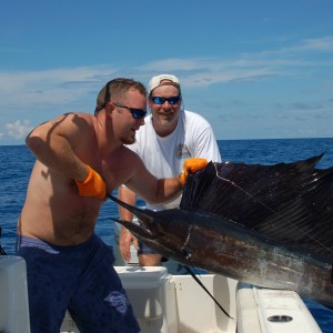 Texas Sailfish