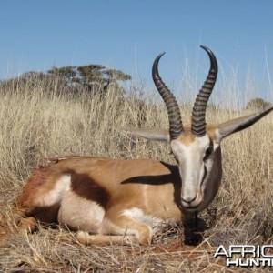 Hunting Springbok in South Africa