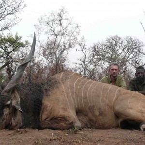 Eland Derby hunted in CAR with Safaria