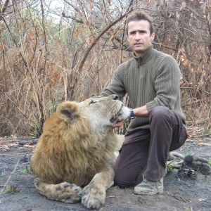 Beautiful Lion taken in CAR with Safaria