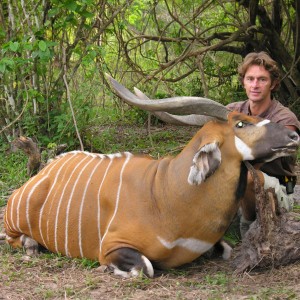 Bongo Hunted in CAR