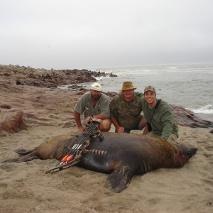 Bow Hunting Seal in Namibia