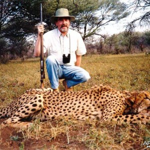 Hunting Cheetah Namibia