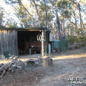 Wild Ram cabin