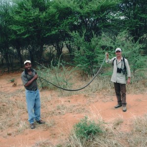 Black Mamba Shot in Namibia