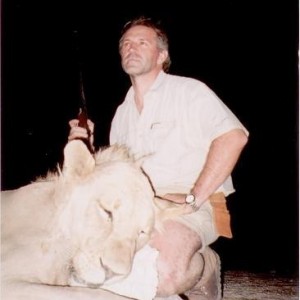 Lion - Bushwack Safaris