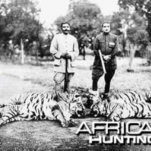 Tiger Hunting in India