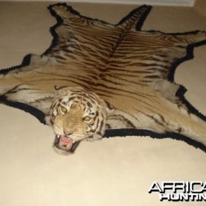 Tiger Rug