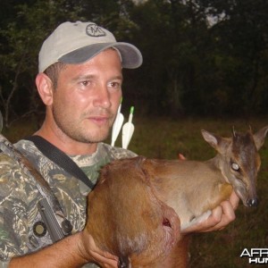 Blue Duiker