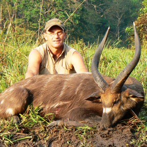 Western Sitatunga, 24 1/2 inch CAR