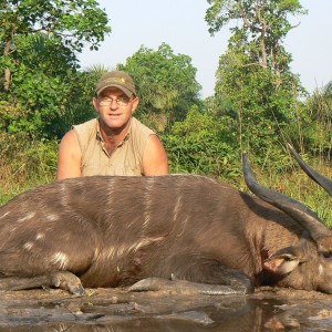 Western Sitatunga shot in CAR