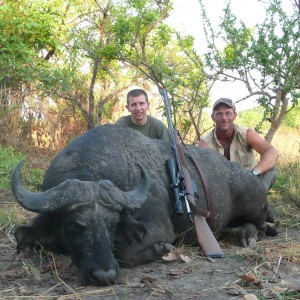 Big bodied buffalo bull from CAR