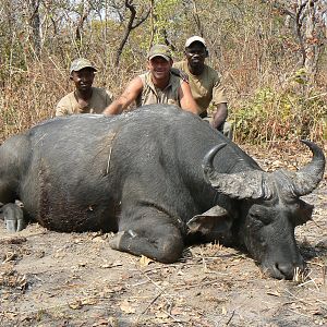 Black buffalo bull from CAR