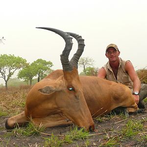 Very good 24' inches lelwel hartebeest hunted in Central African Republic