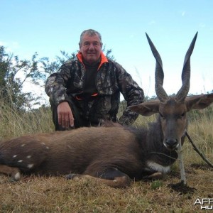 Bushbuck - Free range Mankazana Valley