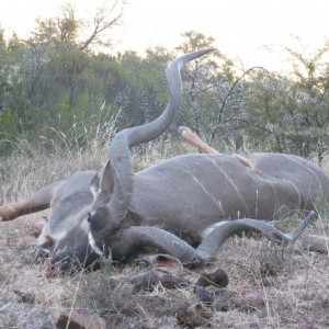 Kudu Free Range Mankazana Valley