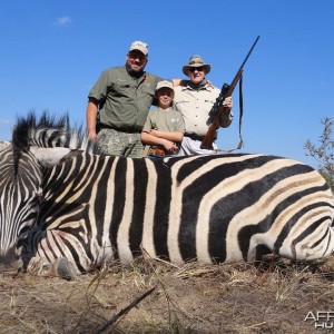 Limpopo Zebra