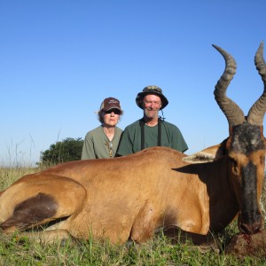 Hartebeest