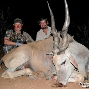 Eland - Namibia