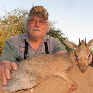 Only found in  Namibia Damara Dik-Dik