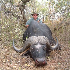 Tanzania buffalo