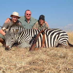 Zebra Tanzania