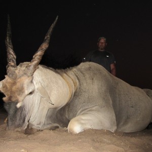 Cape Eland Namibia Aug 2015