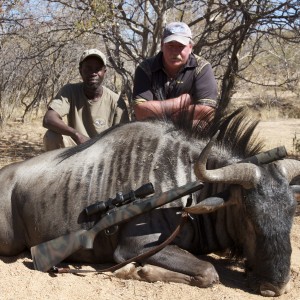 ongariwanda blue wildebeast