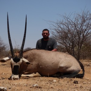 Gemsbok 38 inches