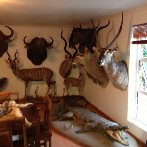 Trophy Room