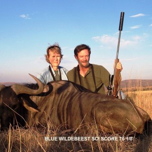 Blue Wildebeest