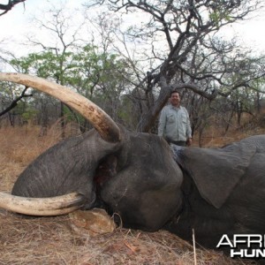 Elephant Niassa Reserve Block R3