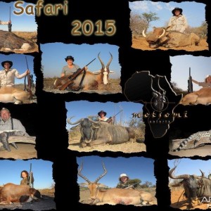 Motsomi Safaris