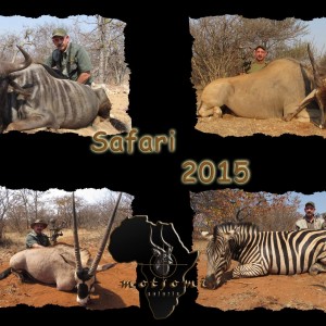 Motsomi Safaris