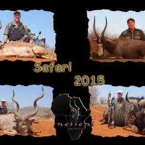 Motsomi Safaris