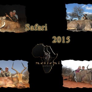 Motsomi Safaris