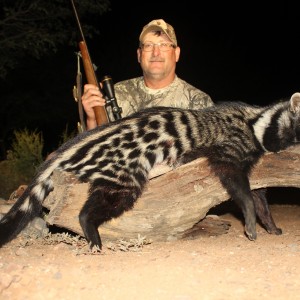 Civet