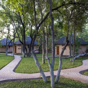 Spear Safari Camp