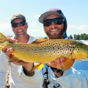 Dry Fly Brown, Fish Creek, Montana