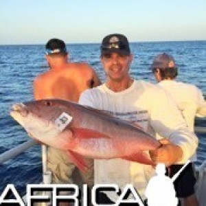 Dry Tortugas Mutton snapper